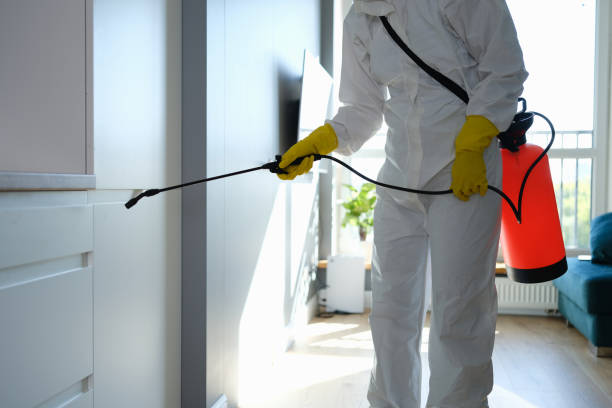 Best Same-Day Mold Removal  in Eddyville, IA